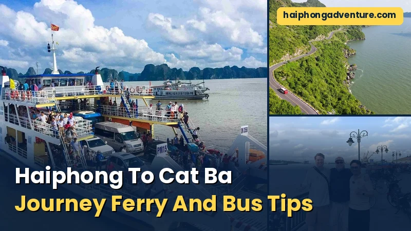 Haiphong To Cat Ba Journey Ferry And Bus Tips - Haiphong Adventure